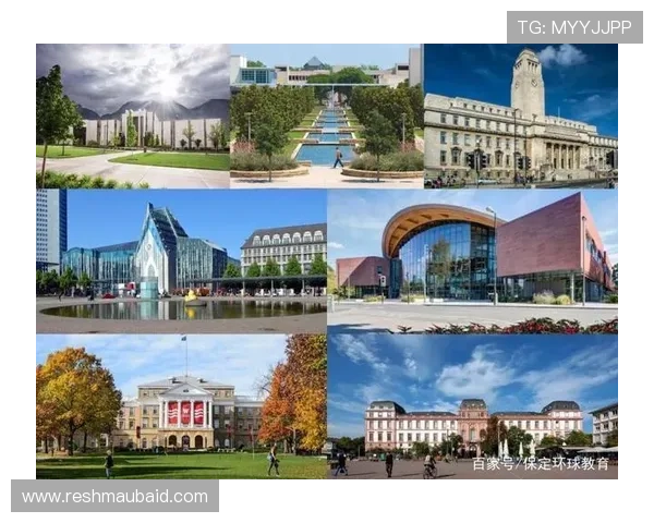 德克萨斯的教育体系与高等学府发展现状详解